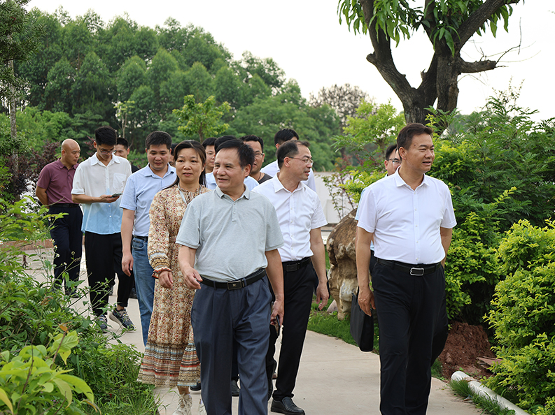  桂平市市长黄德佳等领导到我校指导工作丨 米兰(中国)milan·官方网站-登录入口