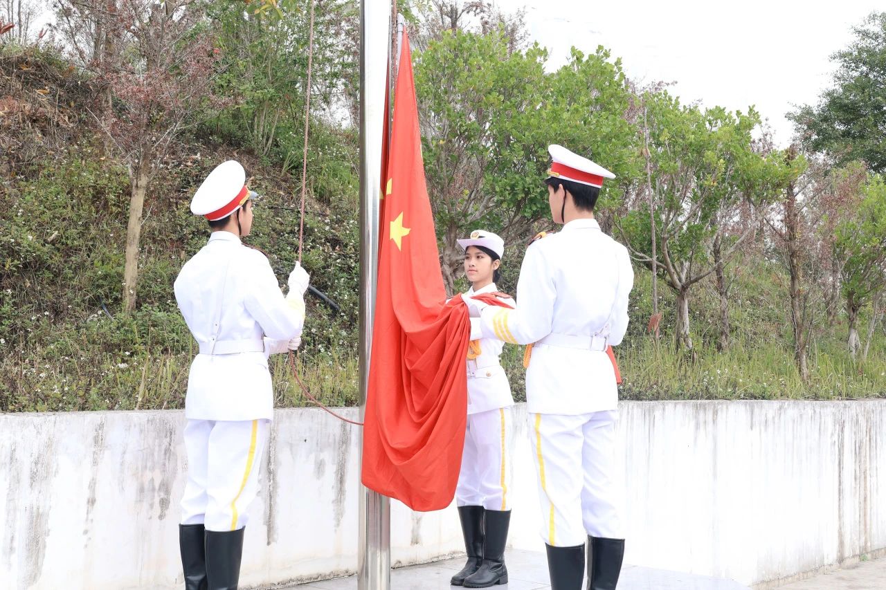 1741569899582982.jpg 11.jpg